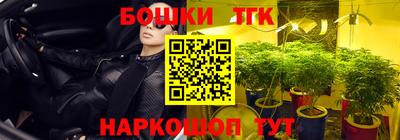 герыч Камышлов