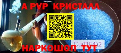 ECSTASY Канаш