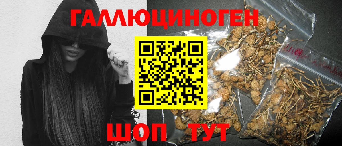 Кыштым  Псилоцибиновые грибы Magic Shrooms  купить наркотики сайты  Вход с VPN 
